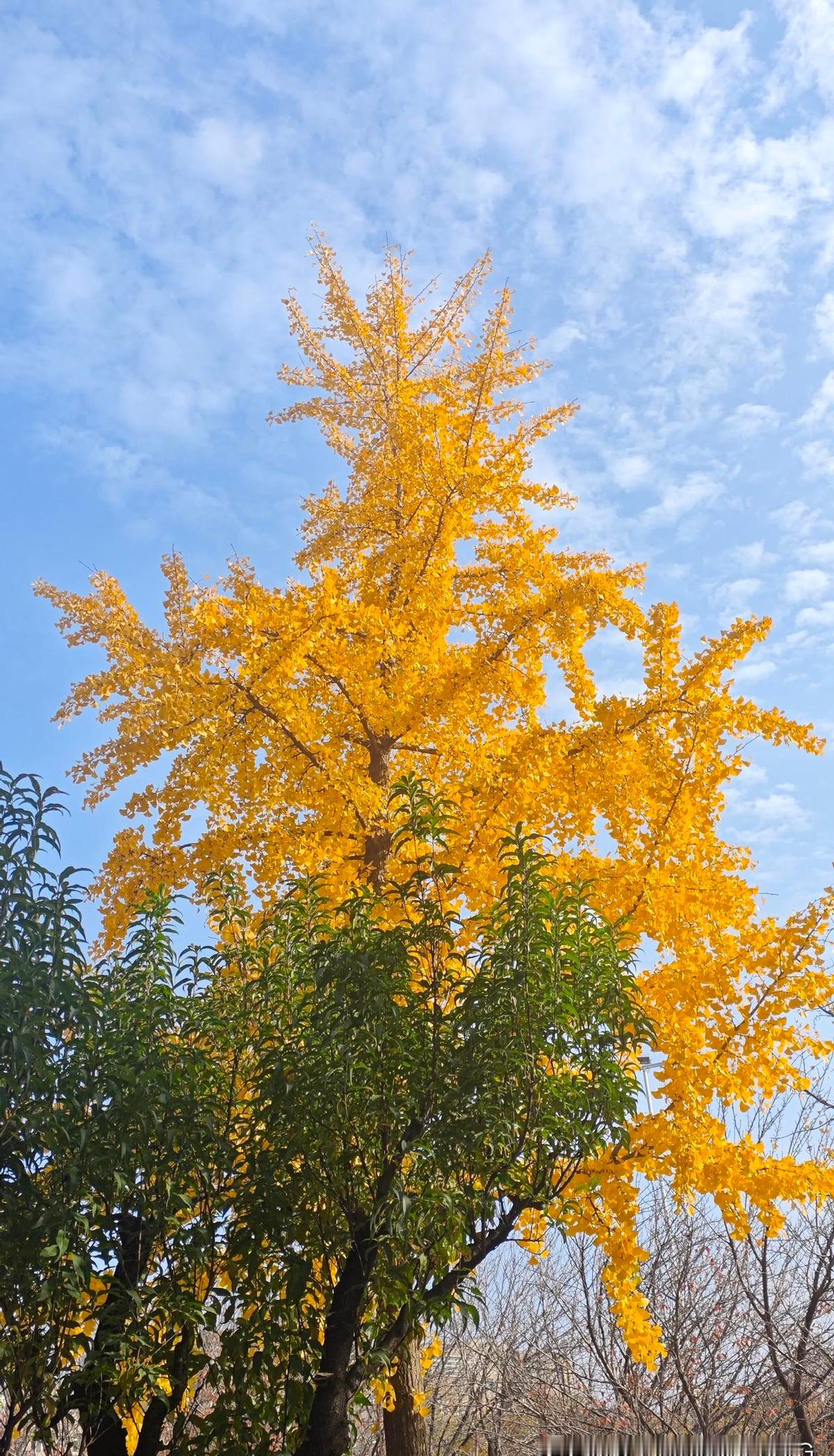 人活一世，图个健康长寿。这事儿不是嘴上说说就行，得真干。每天走路半小时，饭吃