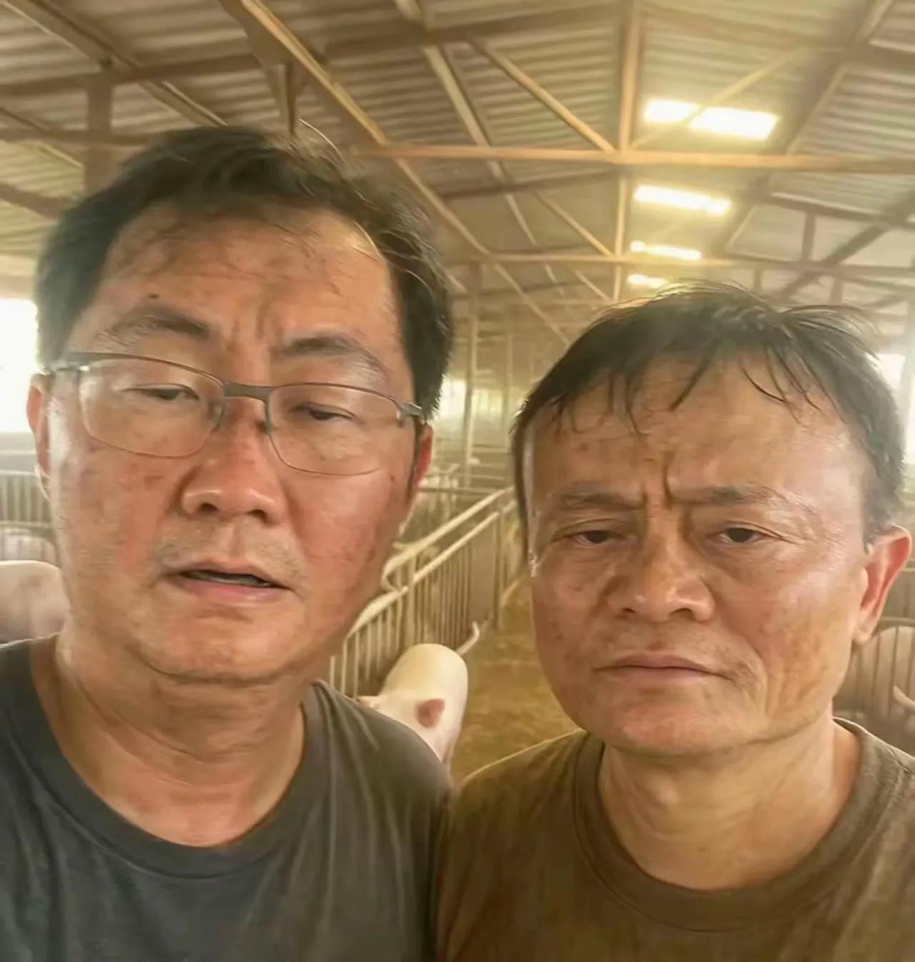 今天看到这两位，看着很面熟。