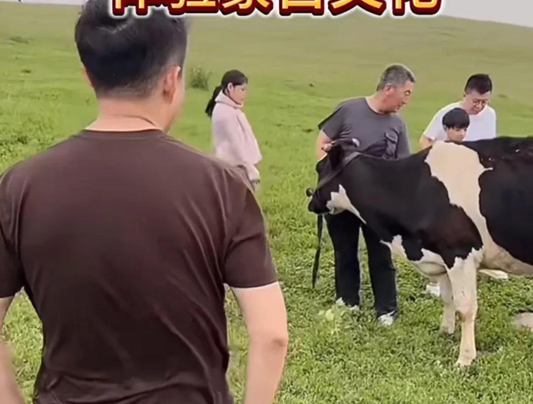 大S当时要是不离婚，这一幕的幸福就是属于她的了！女儿乖巧，儿子懂事，一家去大草