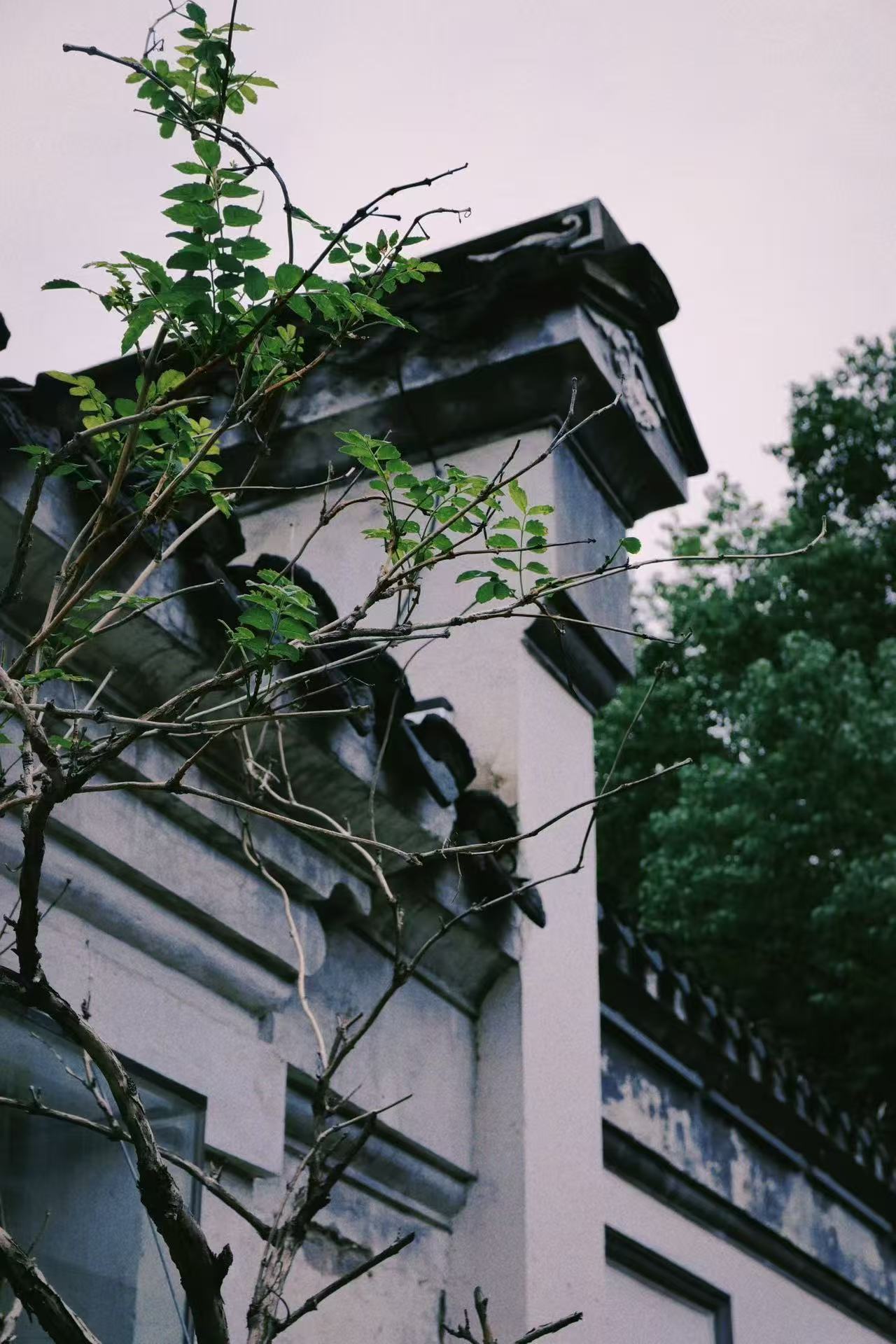 江苏无锡佚园|江南园林美景游！