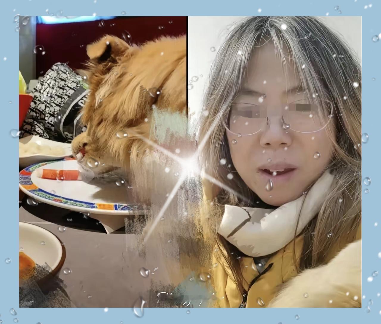 这下出名了纵容狗上桌舔盘子，还发视频炫耀，夸自己家的狗，“太棒了”