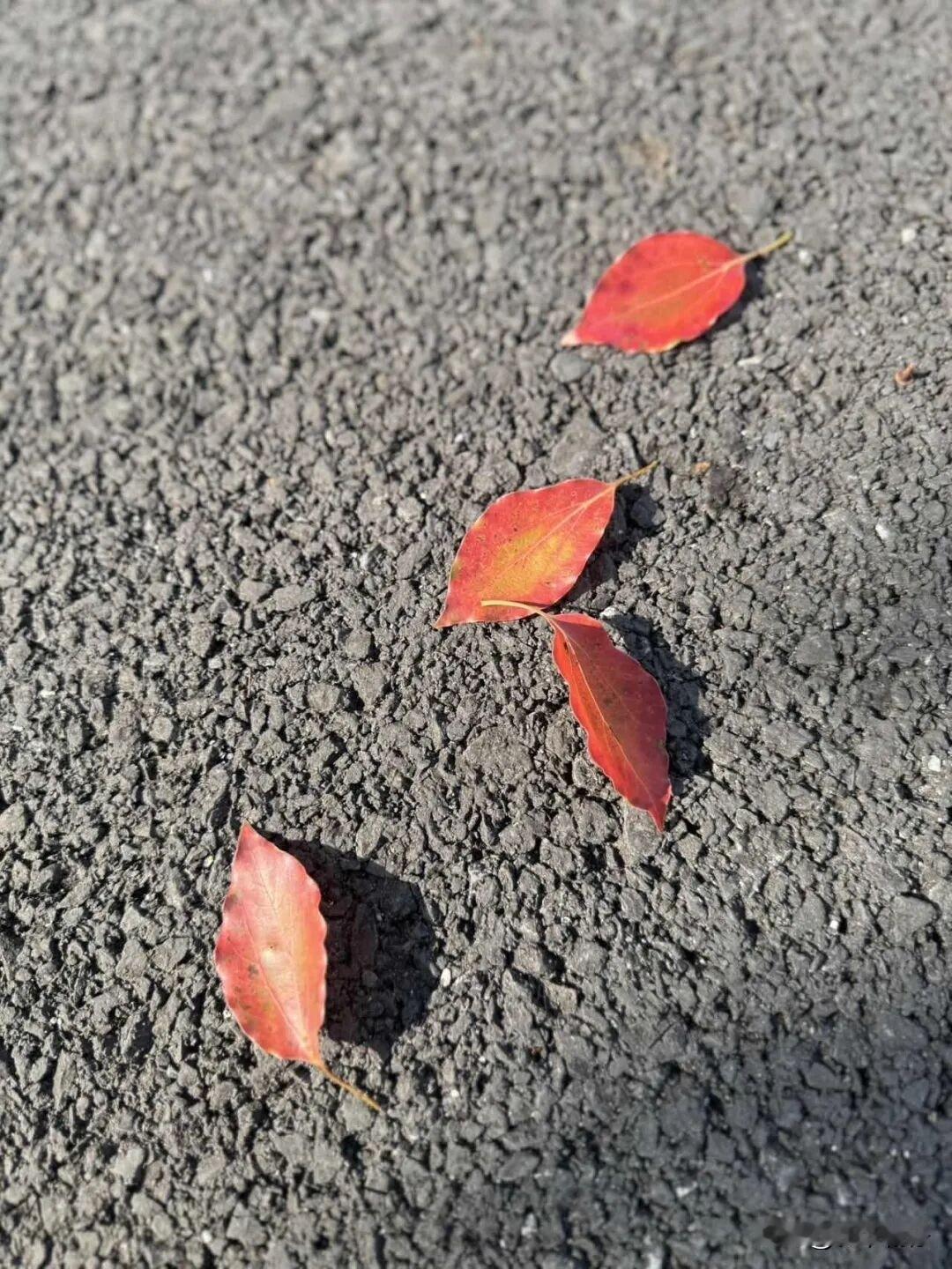 我找到了一个最简单、最容易做到的运动。它无需奔赴健身房,不必汗如雨下,更不用挑战