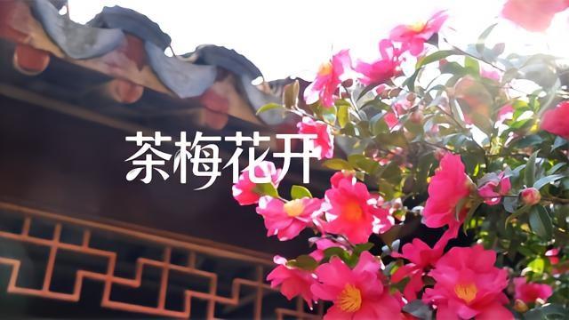 八十年代初，想进北京公交公司，得先看你是不是退伍军人。或者家里有人在里头干。