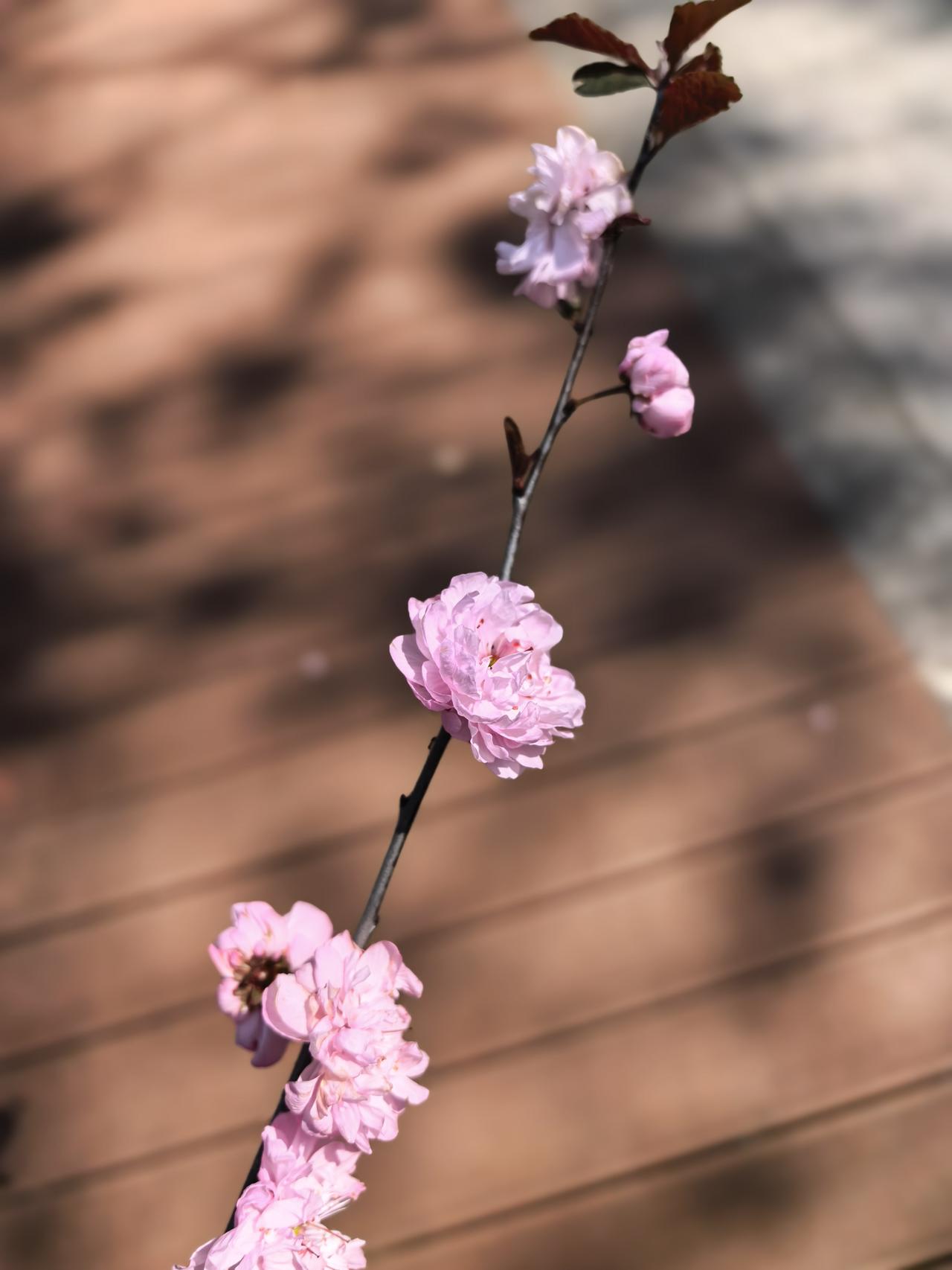 我的一点点小小存款快到期了。在到期前去看了一下几大国有银行，工农商建交行，他们