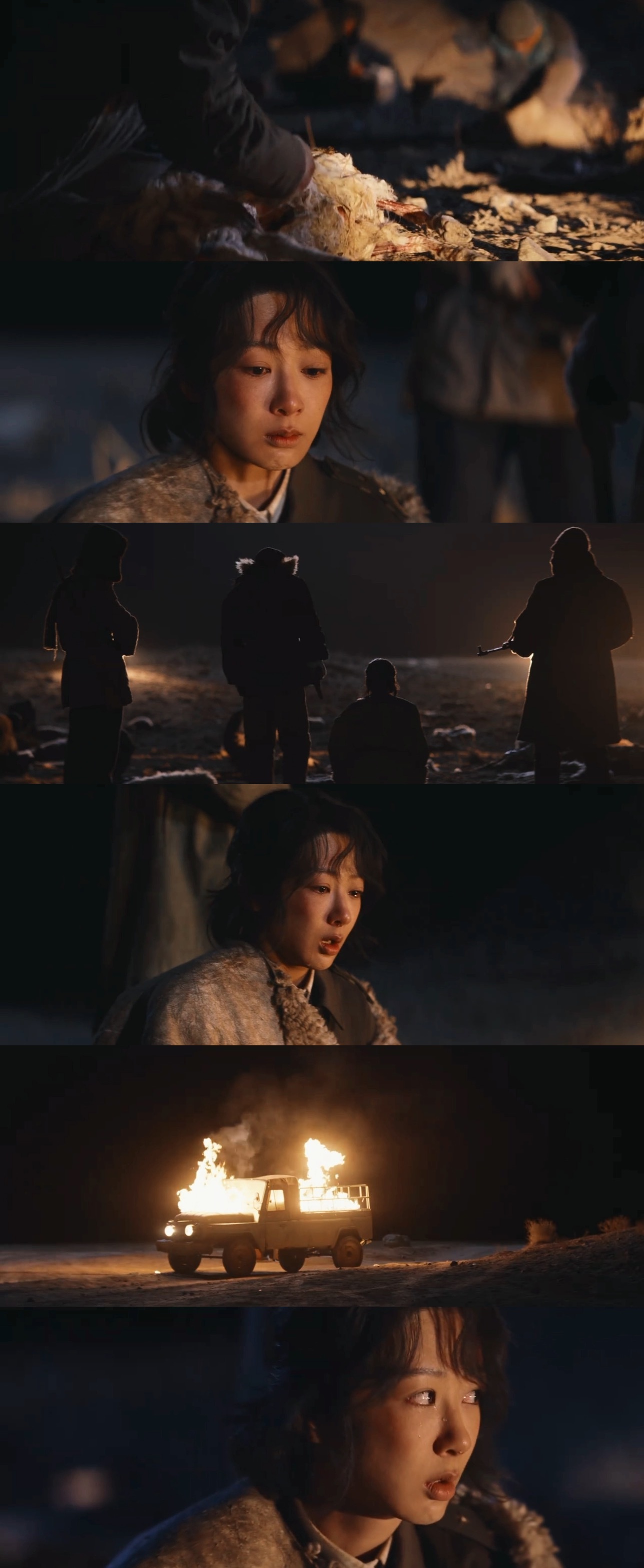 生命树我的评分：生命树反馈《生命树》四集看完了！超越期待的好看！一打开就是流