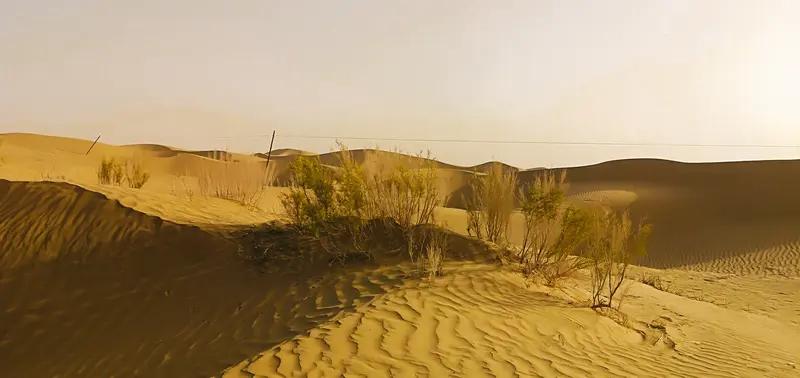 塔克拉玛干沙漠种上大片苜蓿，这画面想想就震撼！曾经的“生物空白区”，如今绿意渐显