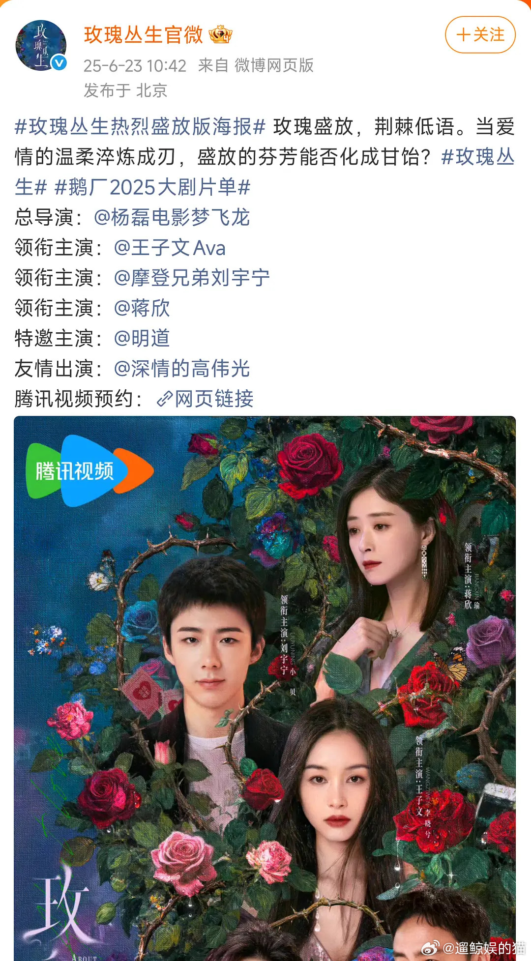 为什么玫瑰丛生扑了都嘲顶刘他是二番啊，又不是一番