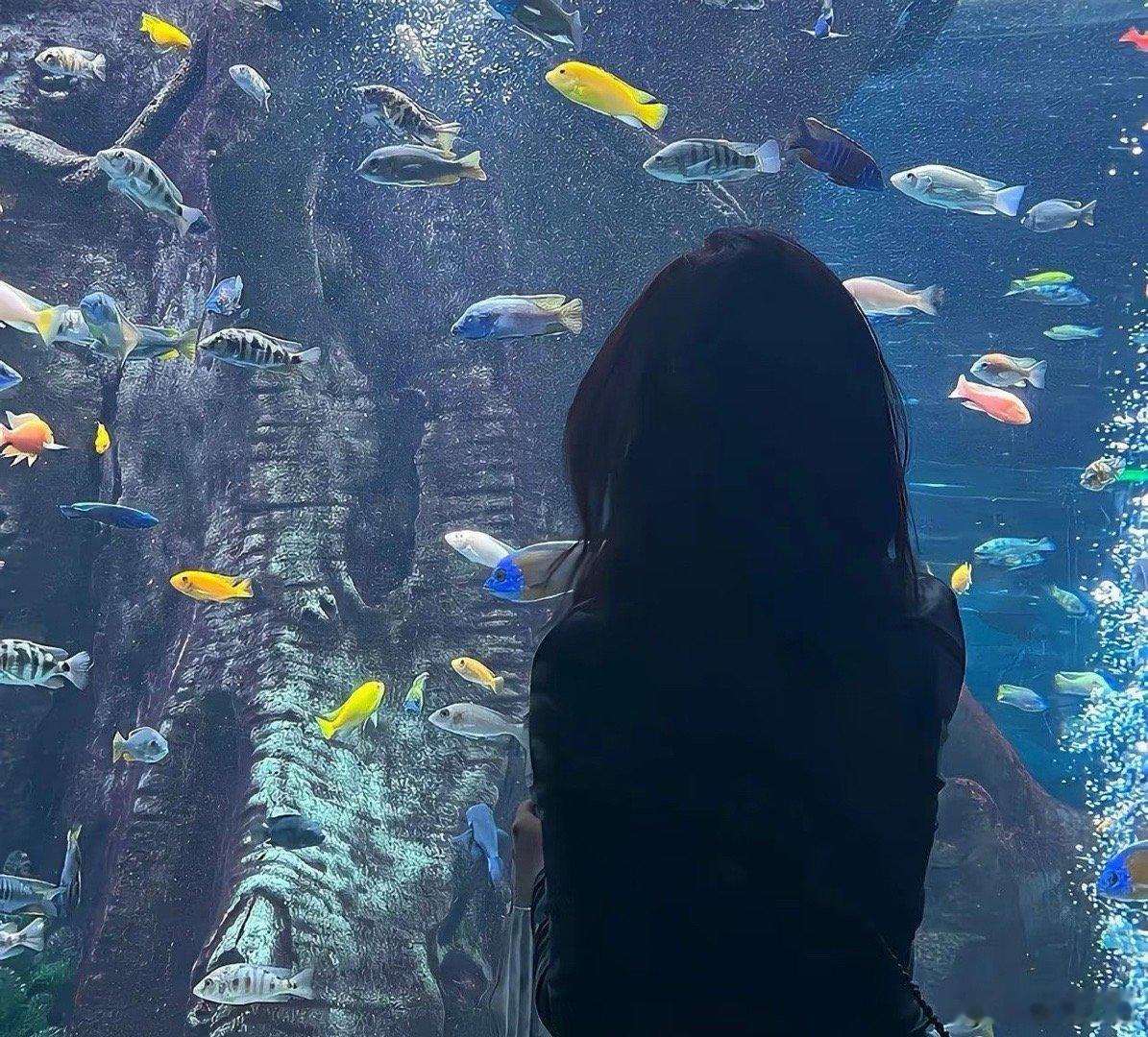 现在不盯券商，等牛市来了拍大腿？这4个逻辑把潜力说透！别再乱找方向了！当前市场里