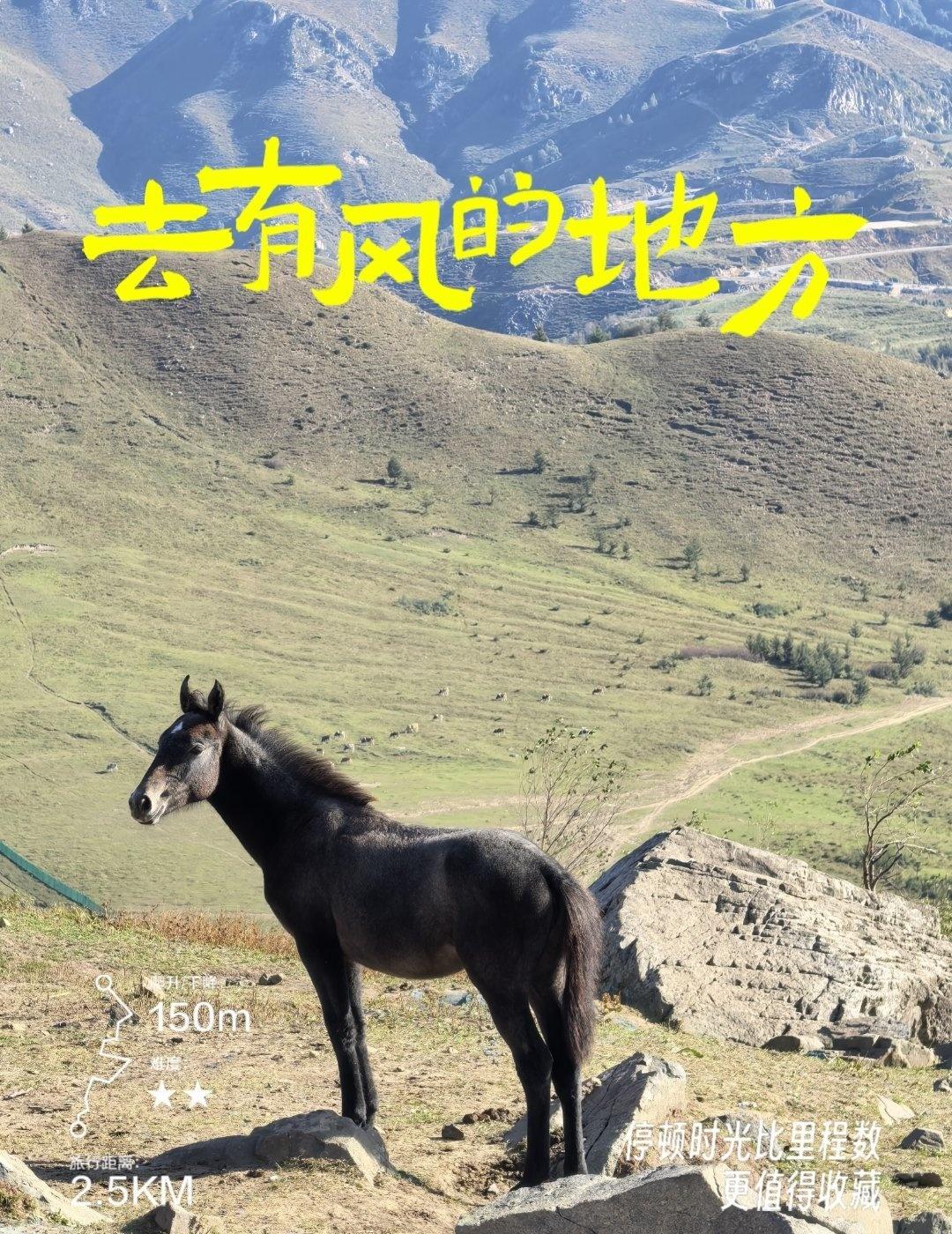 9月终于去了一直想去的东灵山，自驾到东灵山一号停车场，登上记得上个厕所，因为这是