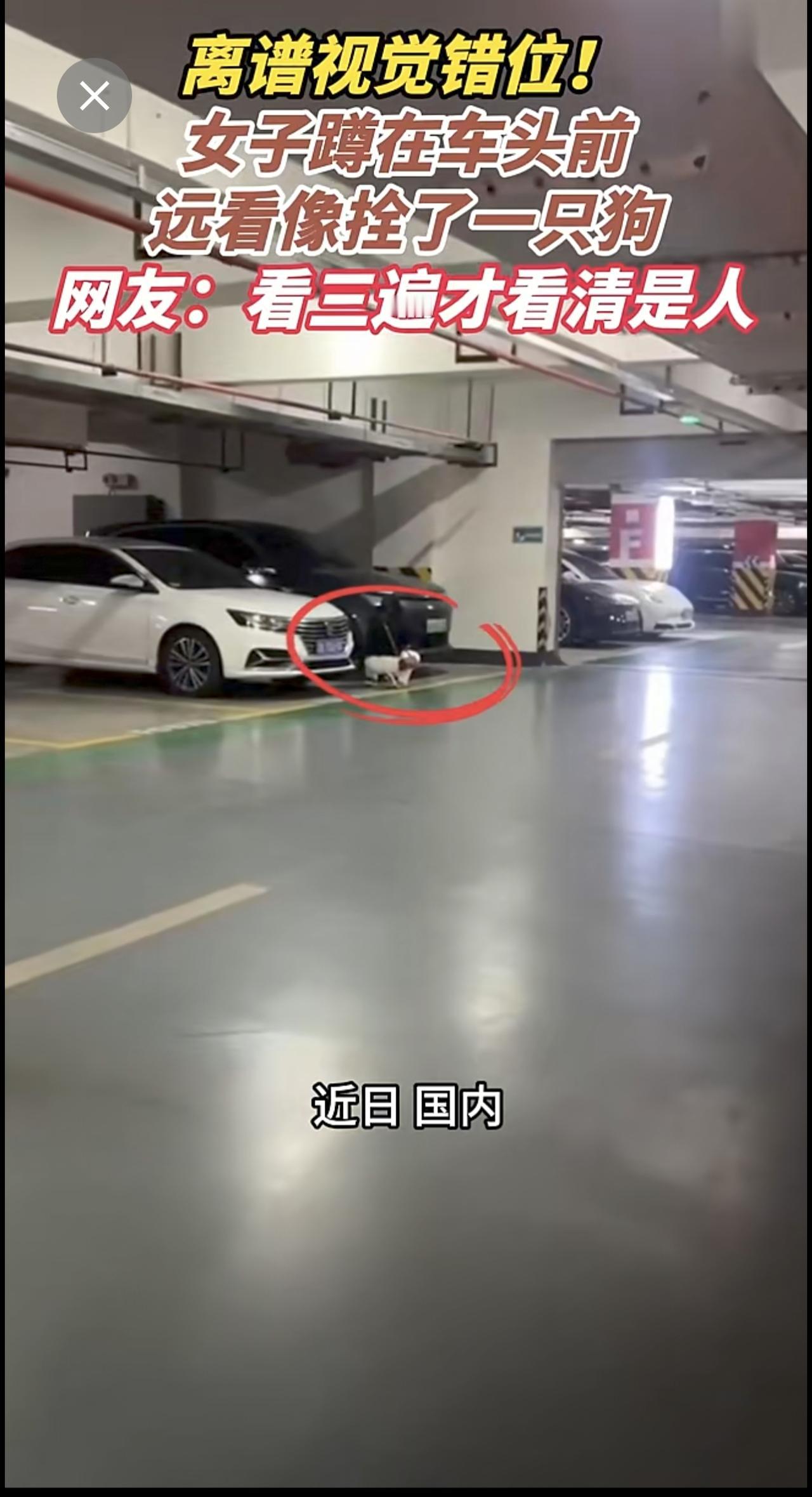 离谱视觉错位！女子蹲在车头前，远看像拴了一只狗，网友：看三遍才看清是人[捂脸哭][