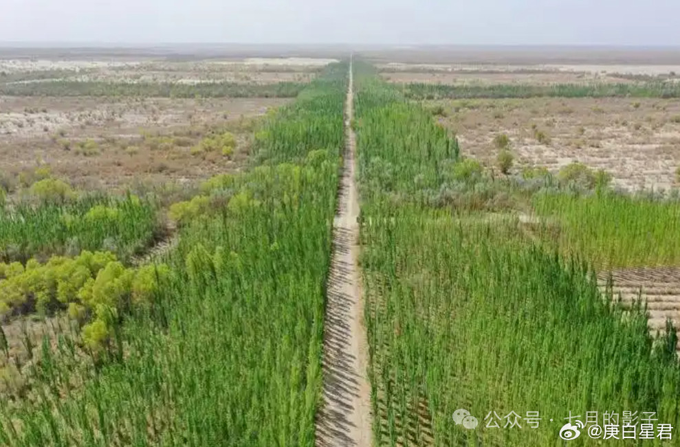 BBC指责中国治理沙漠？英国一个律师，自己动手清理了一条受污染的河流，结果，因为