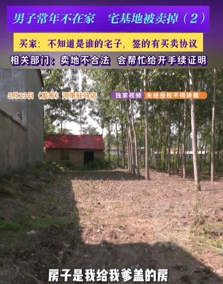 河南驻马店，一男子听说自己家宅基地被霸占便赶忙回到老家，结果满院老树已被砍尽。找