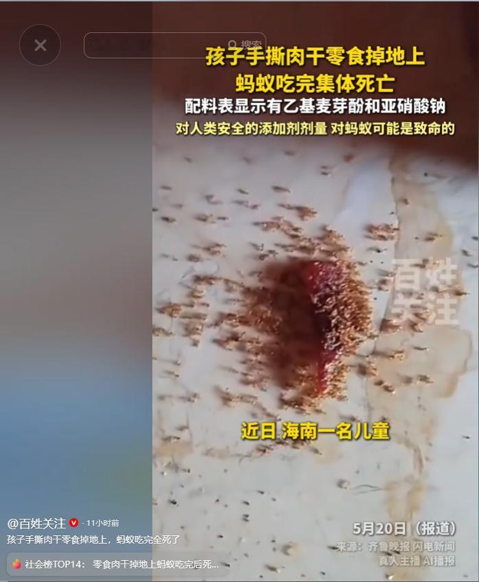 对人安全，对蚂蚁致命？百姓关注5月20日报道，海南宝妈意外拍下惊悚一幕，孩子不慎