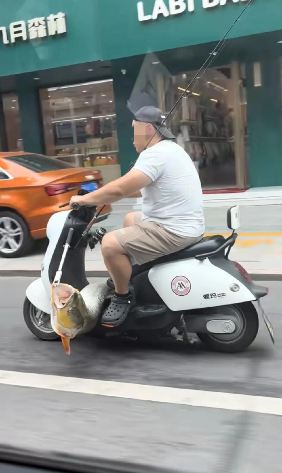 这么大的鱼，为什么不装起来？