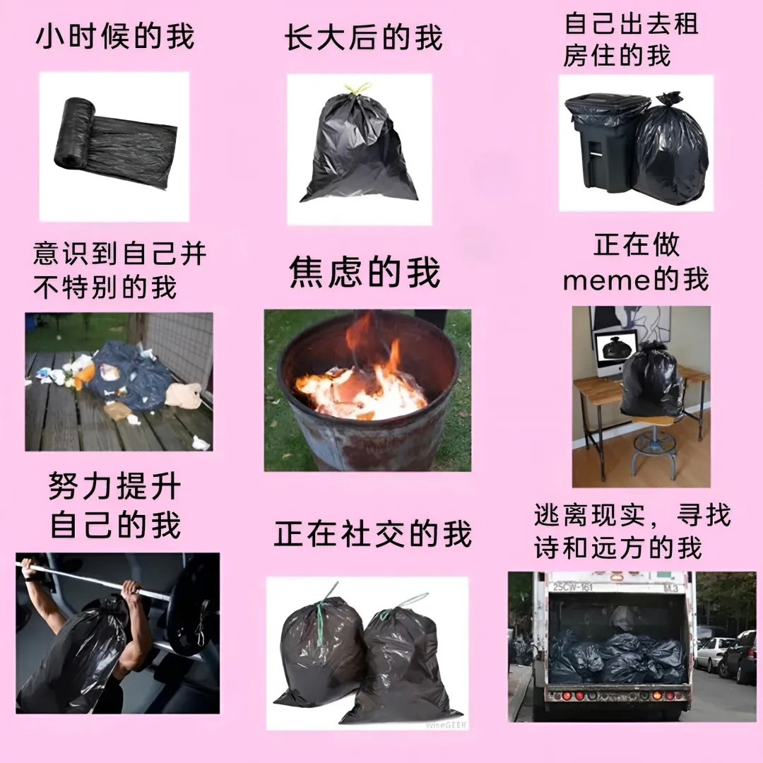 我这一生，仿佛都在扮演一个垃圾袋memes