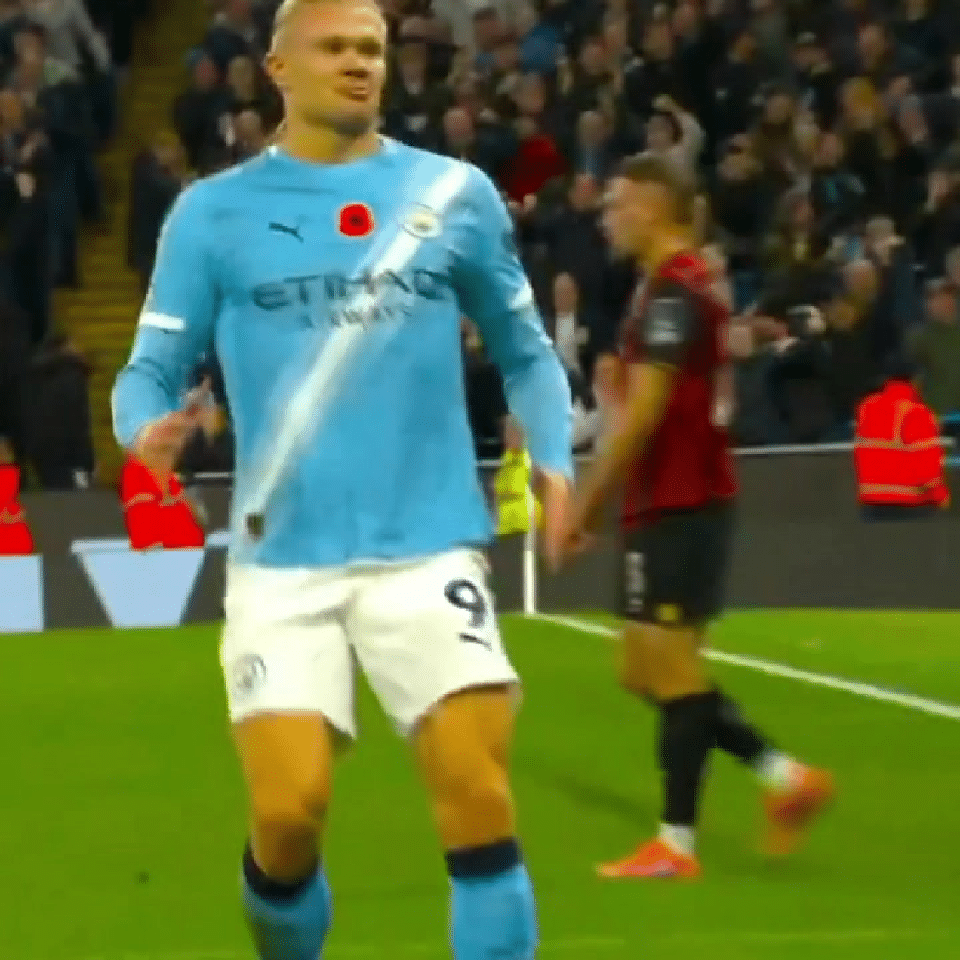 🤖机器人🤖·哈兰德🤖​​​