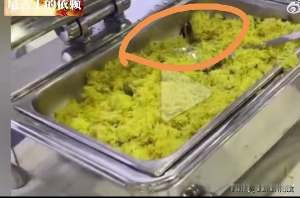 金砖峰会印度人果然提供了两个食品类的新闻：素食里面带蟑螂，素食变荤了。印度官