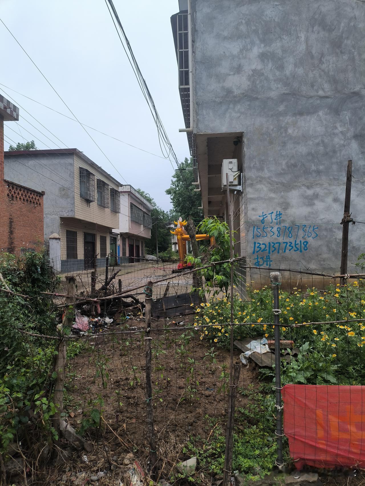 邻居家搬到县城居住约莫已有二十年，村里老宅基地上的房子早已倒塌。去年秋后，他们回