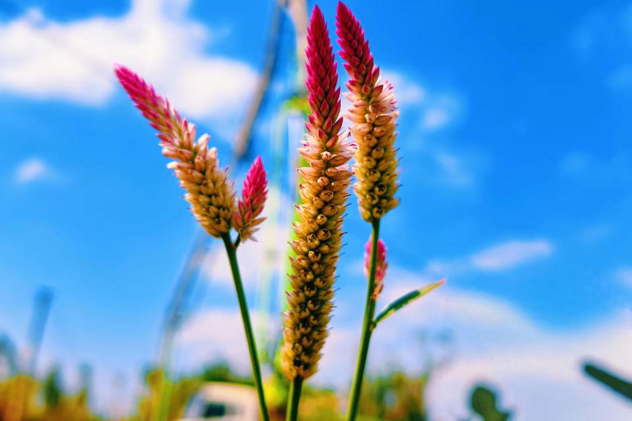 人生的意义不在于目的地，而在于沿途的风景。治愈系风景