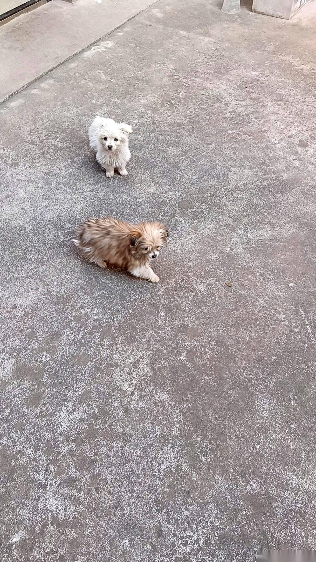 门，哐当一声，关死了。川普老爷子在全球放话，“第三世界”的人，别想再移民美国了