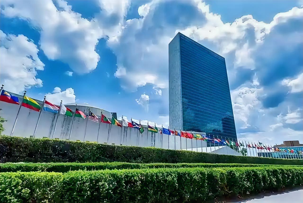 中国收到加沙“和平委员会”邀请！多国态度亮了，法国挪威明确拒绝1月20日