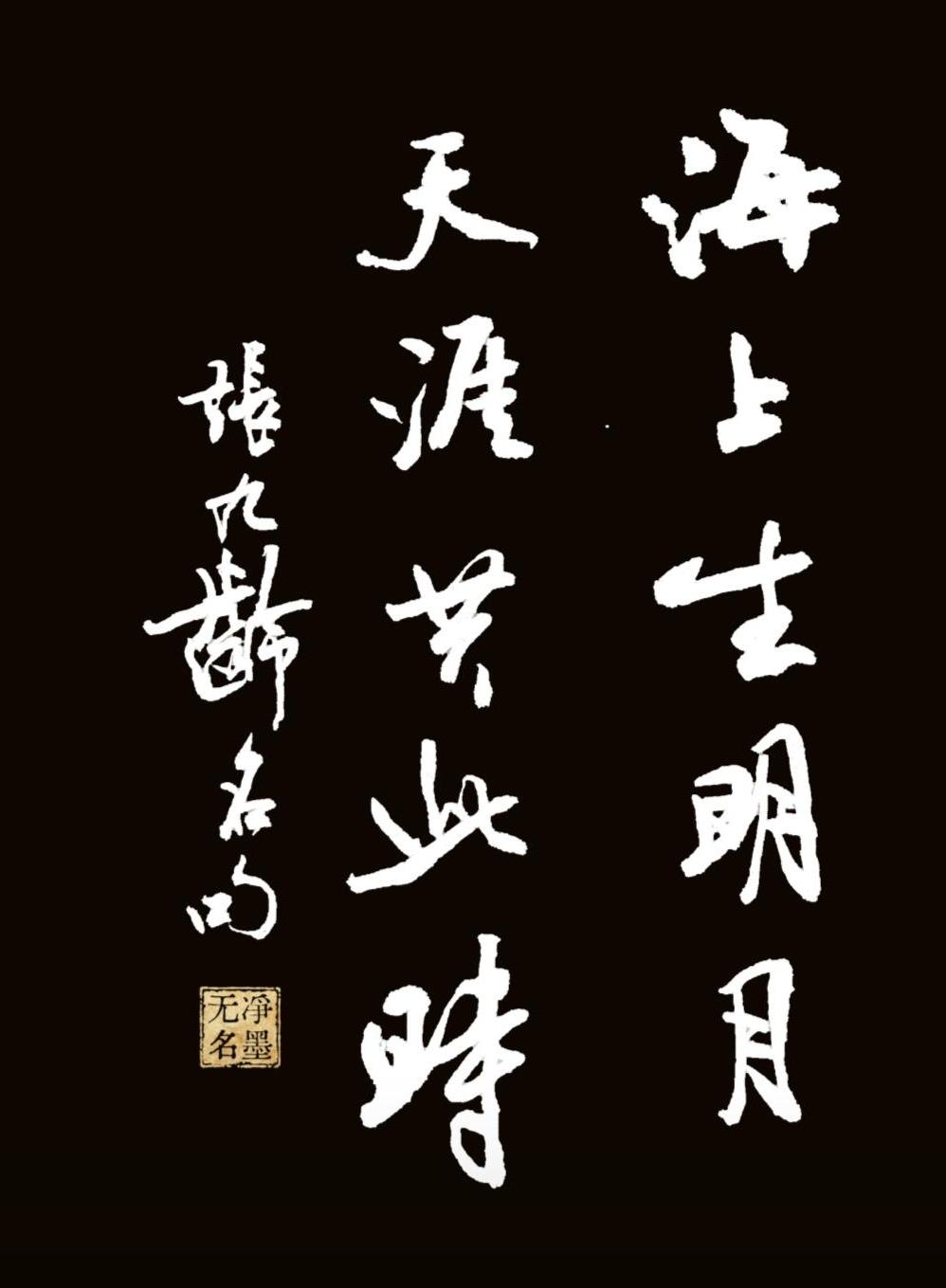 📖文字与出处释文（竖排从右至左）：海上生明月天涯共此时左侧小字落款：