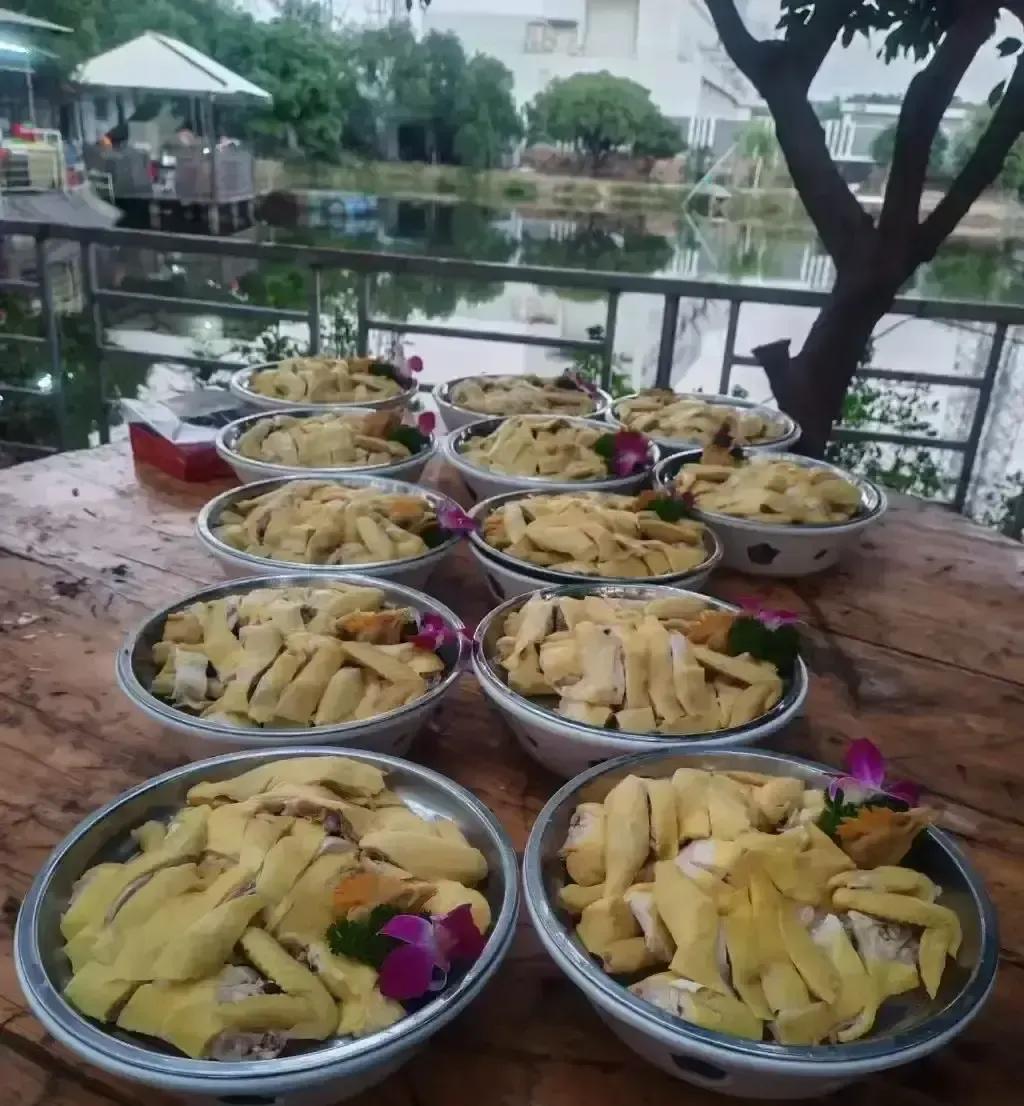 婆婆一年随礼随掉六千，退休金才两千，扛不住想搬来我家住。我听完直接点头：来呗，