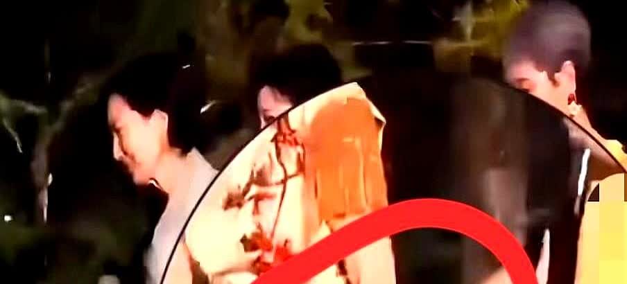 难怪叶童会退赛不知道大家注意到没有，在一次演出中，叶童多次牵赵雅