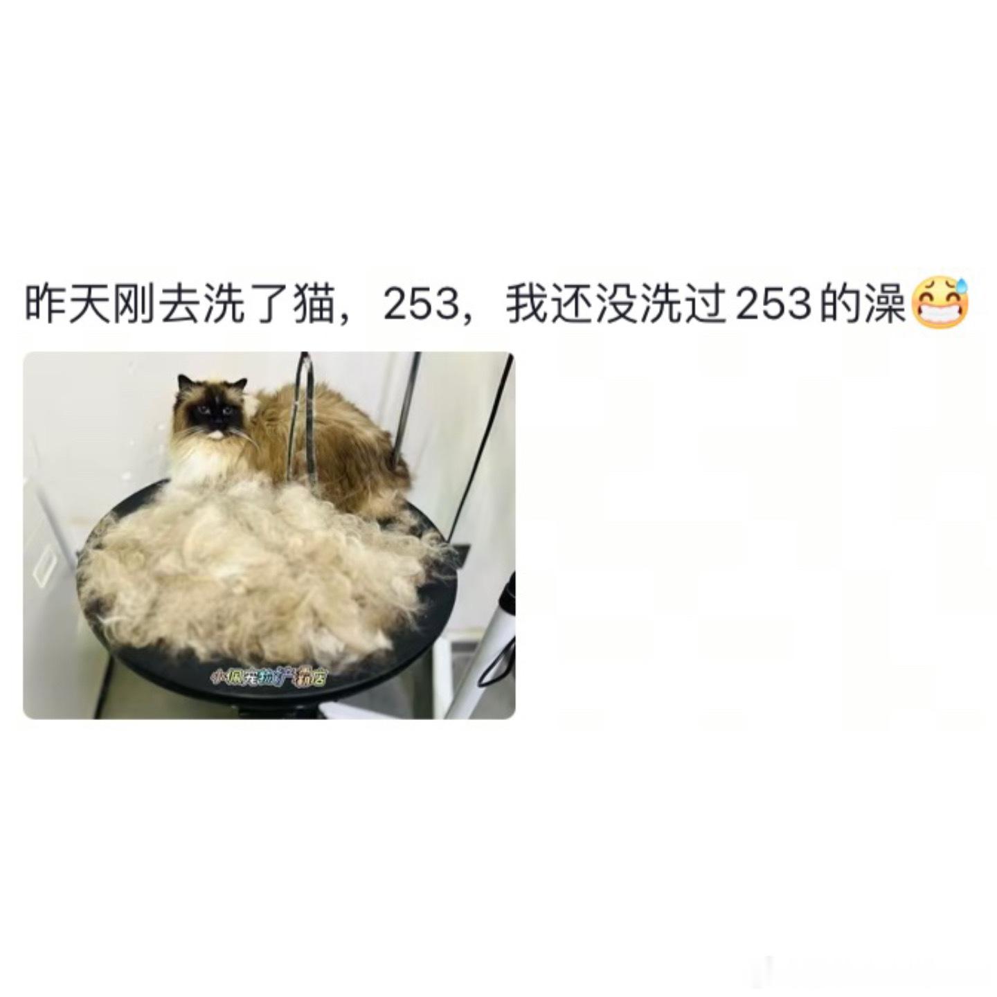 当代年轻人的新型富养观[捂脸哭]遇见春天春日放个疯​​​