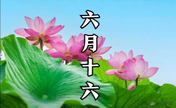 不是玄学！今日农历六月十六，最旺自己的5件事，别忘了告诉家人小扇引微凉，悠