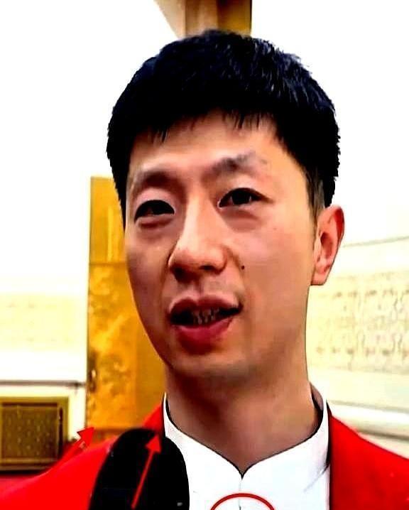 当功勋老帅的影子还没从训练馆墙上剥落新扎师兄们已经踩着西瓜条脸滤镜开太大的人字