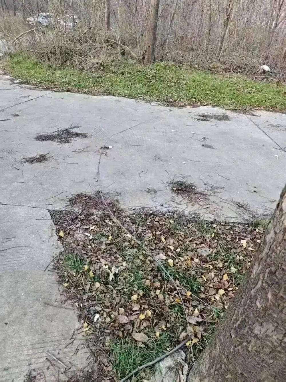 骑车遭铁丝割喉身亡, 意外背后往往是人祸