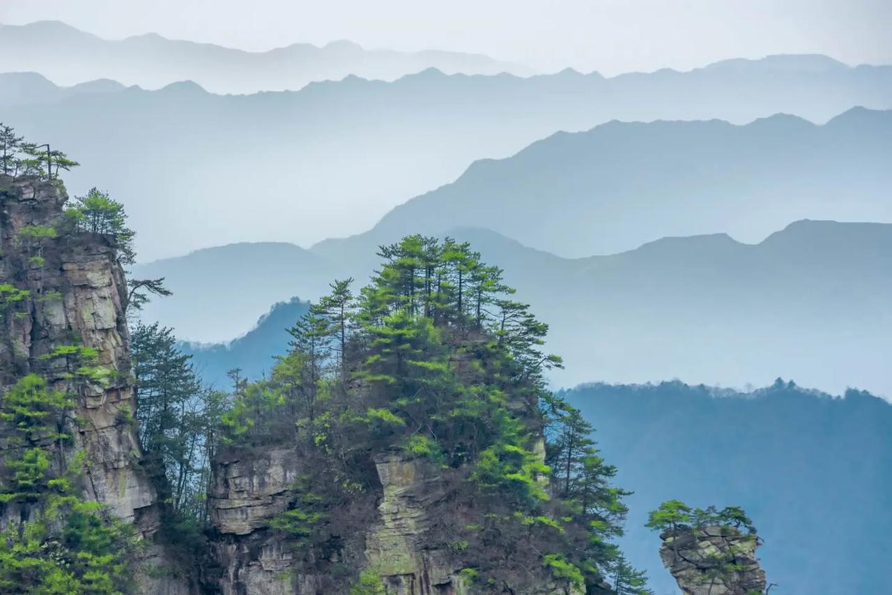 接待了一位高三学生的家长。孩子这次考了四百六十几分，基本就在本科线边缘。家长希望