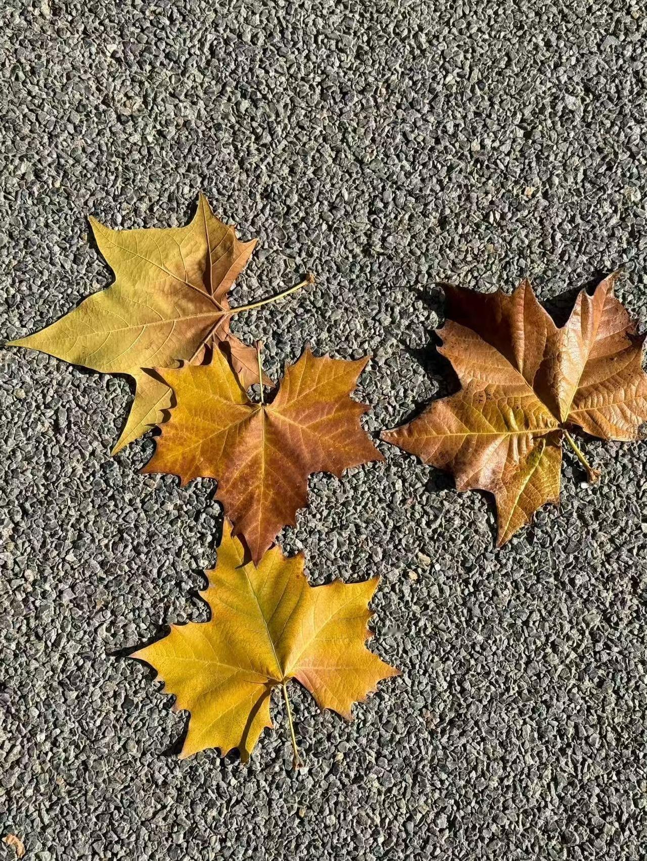 我41岁了，这个年纪本该有点底气，可我连给自己交养老保险的钱都拿不出来，想想都觉