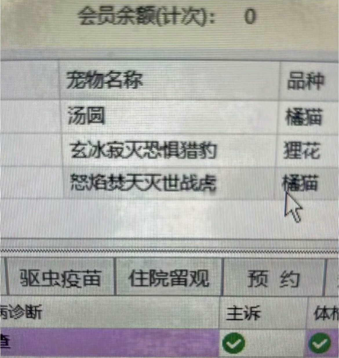 汤圆显得格格不入了meme​​​