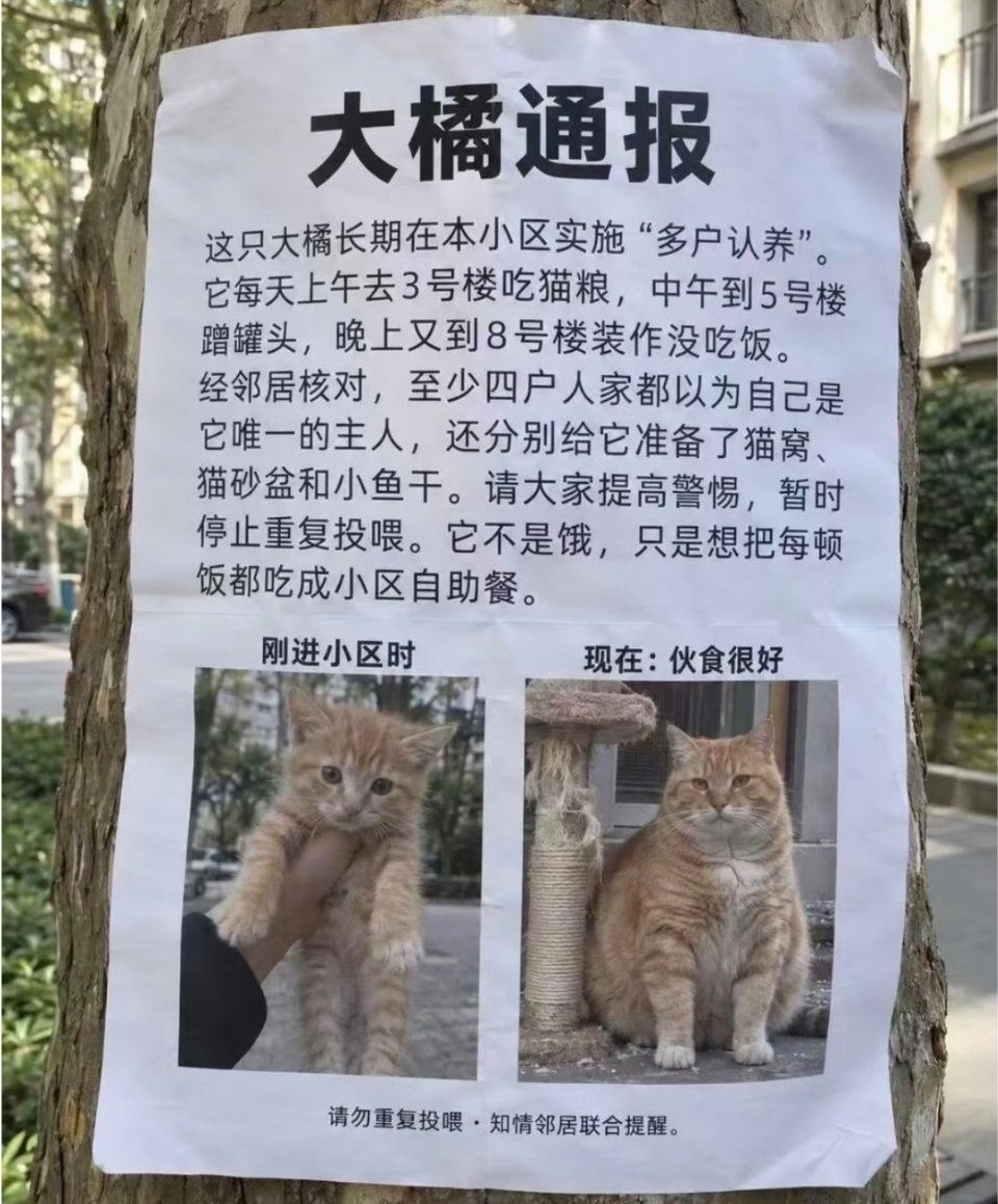 不行的。万一每一户都觉得别的户喂过了而停止喂它，那咪岂不是没饭吃了？咪不接受。