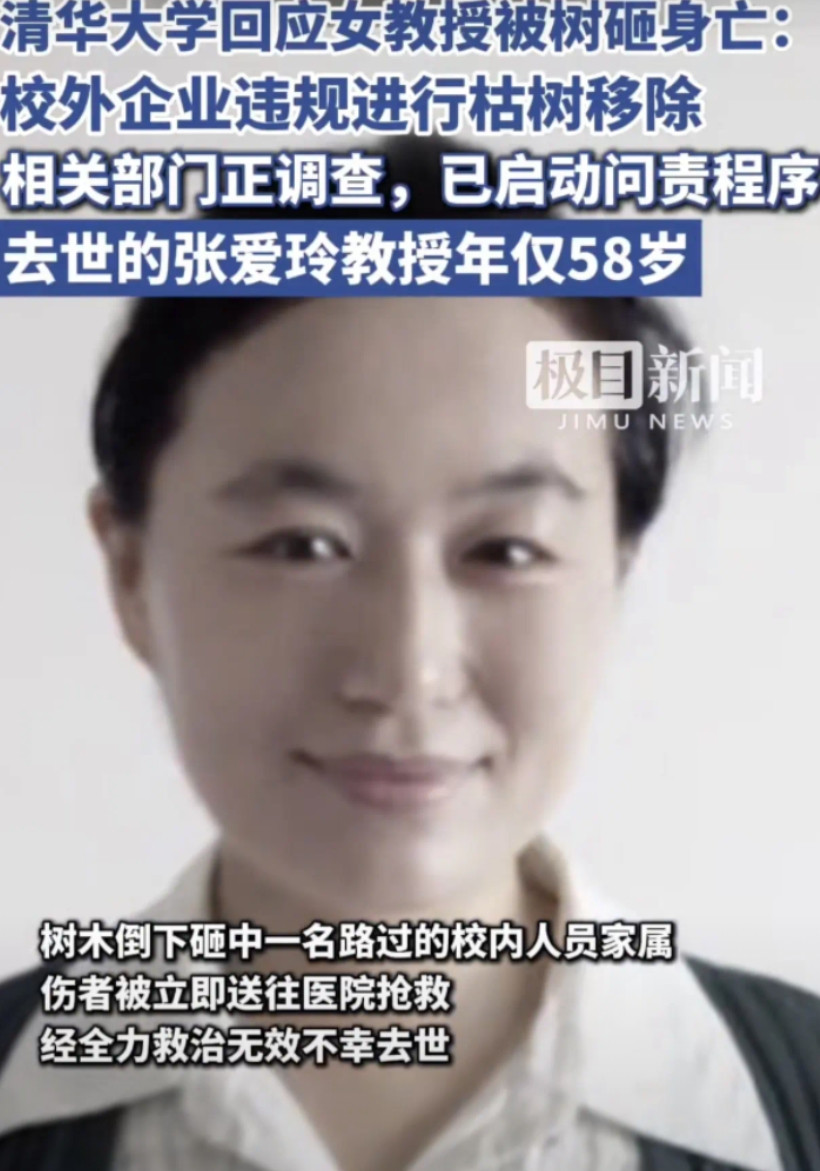 不是天灾，是人祸！清华回应了，女教授被树砸身亡真相6月15日，北语教授张