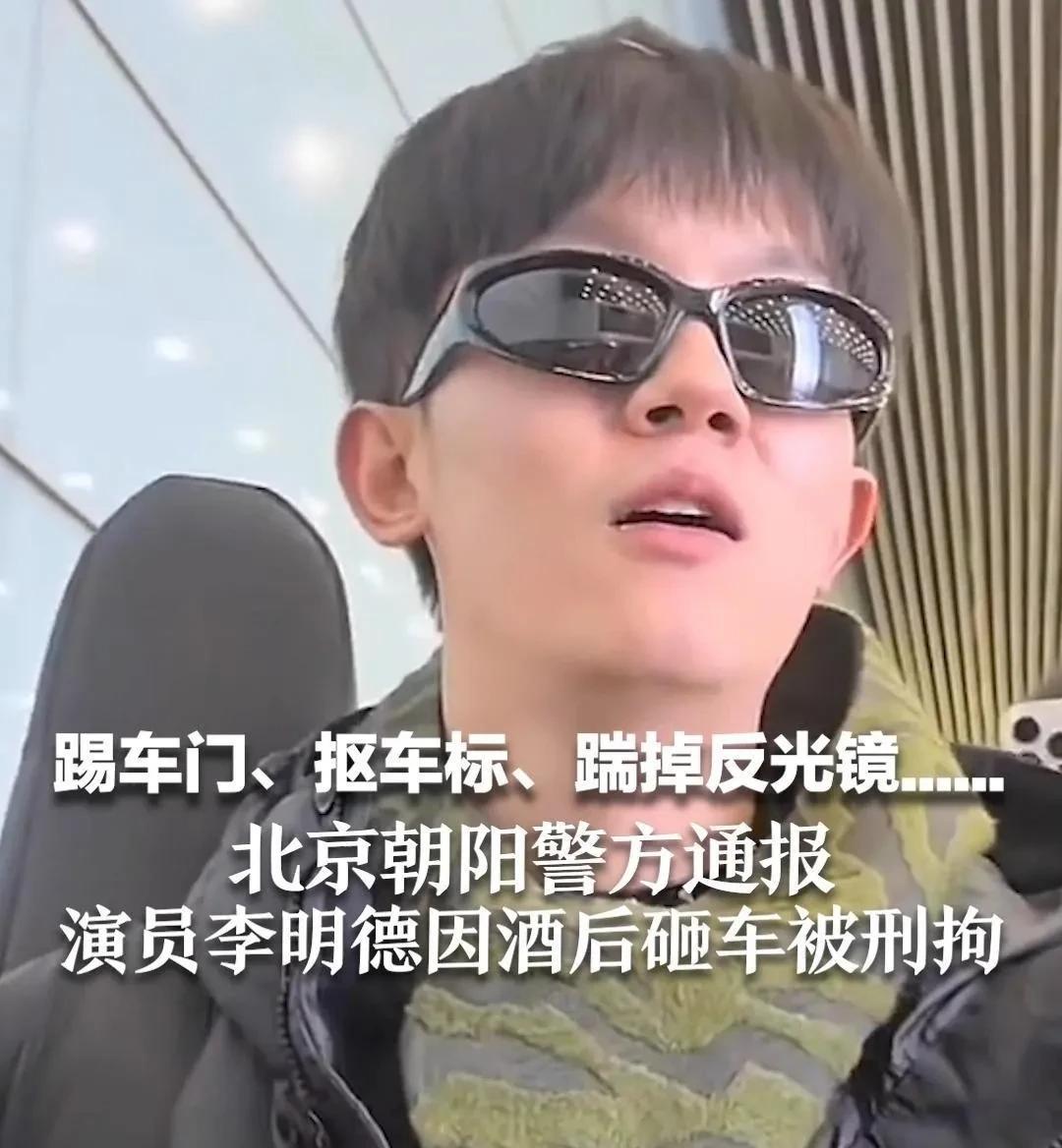 李明德砸车的判决结果出来了！李明德喜提6个月的有期徒刑，外加20万赔偿金。也