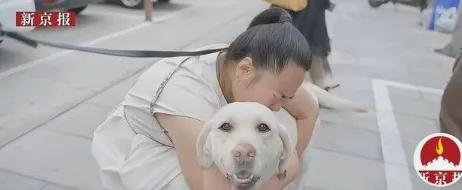 导盲犬芬迪被退回去这事真不是啥感人剧，全程高能打脸。原本以为是主人不舍，结果
