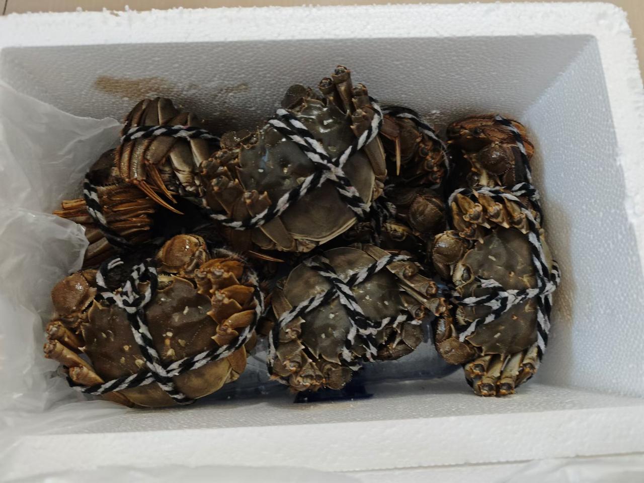 到了吃螃蟹的季节了，啤酒+葱姜蒜蒸十几分钟出锅即可，蟹肉+蟹黄+蟹膏+鲜甜味