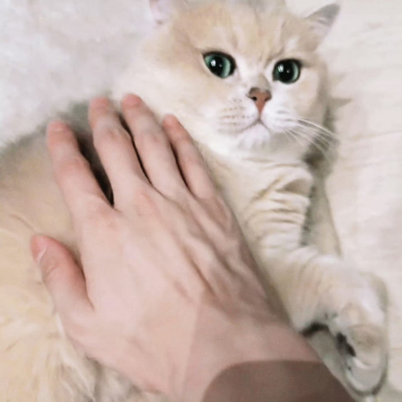 早安宝宝谁能忍住不看手