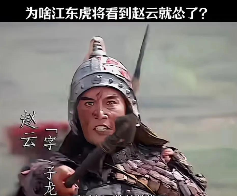 诸葛亮前往吊唁周瑜时，东吴众将领见赵云在旁，个个咬牙切齿，毫无感动之意。说白了，