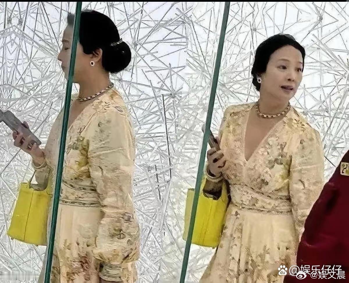 刘亦菲妈妈的状态太绝了！65岁依旧气质斐然，优雅从容的模样，满是岁月沉淀的独特韵