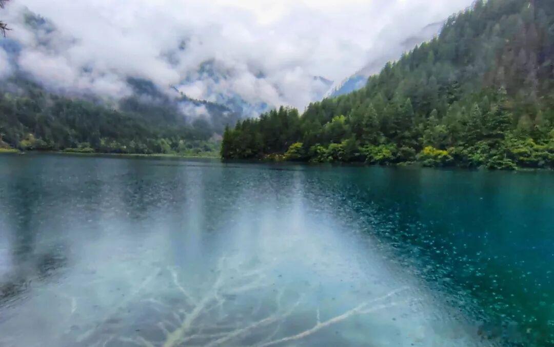 奔赴初夏九寨沟，邂逅朝夕不同的风光。晨雾漫山，湖水映影仙气十足；晴日当空，滩流碎