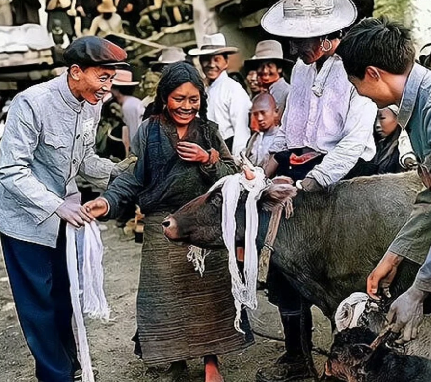 1959年，西藏堆龙德庆县南岗村，一位农奴姑娘分得了一头母牛和小牛崽，照片中可以