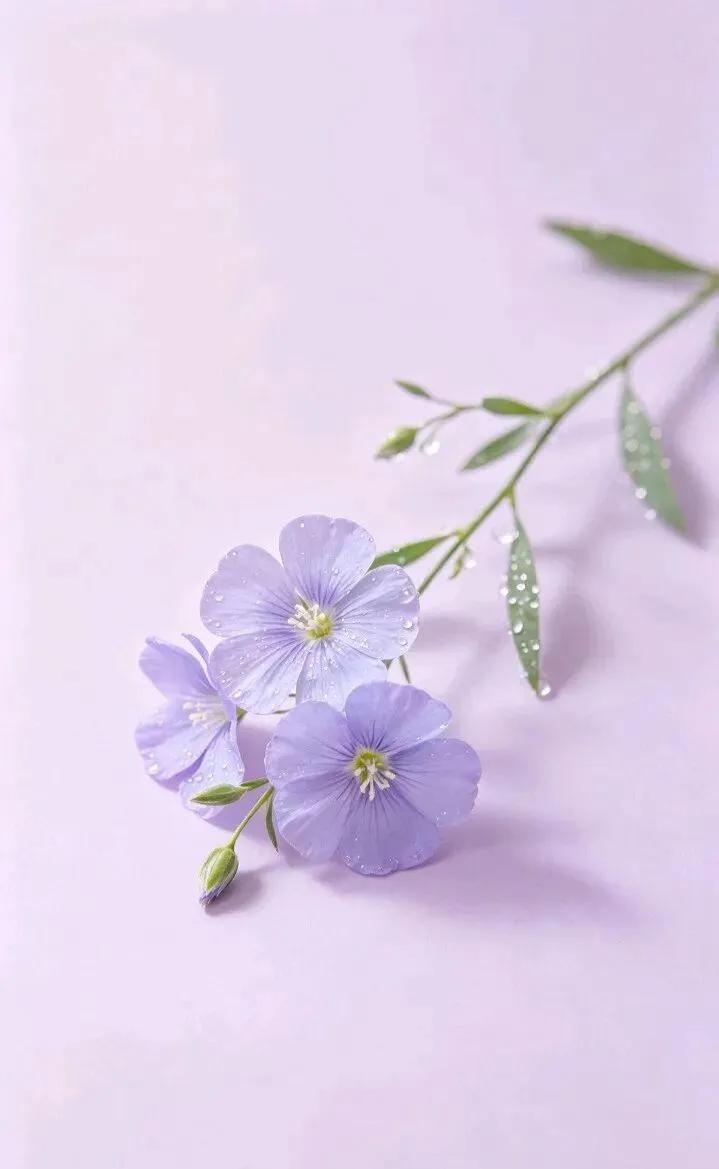对人好，永远换不来真心，是任何人。狗喂太饱，连门都懒得看，人惯太狠，