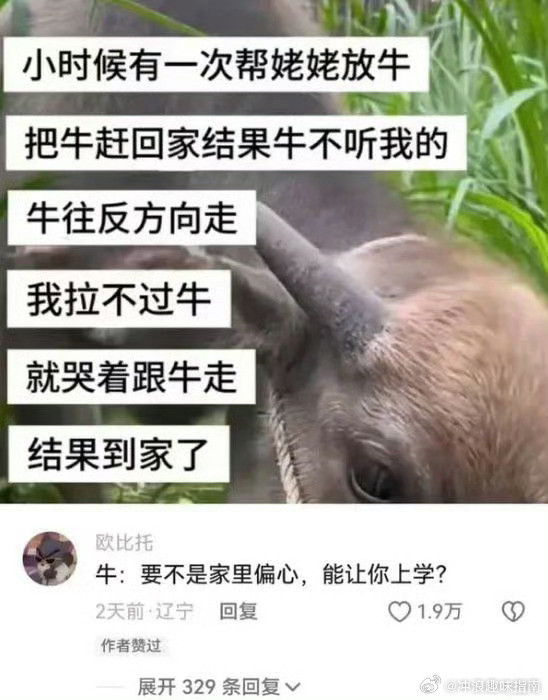 牛寻思：祖宗回家吧还往外跑呢？