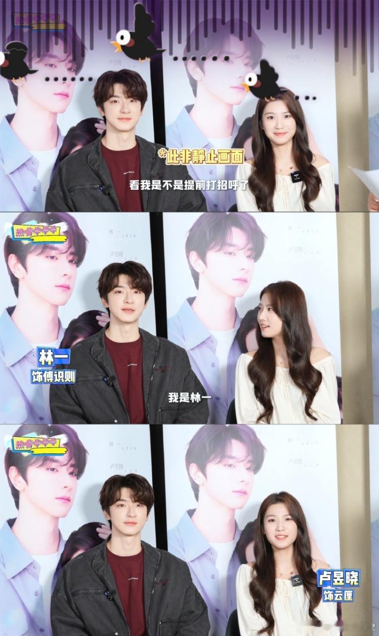 两个人真的特别有cp感怎么会有这么萌的两个人很期待这个拆月亮了