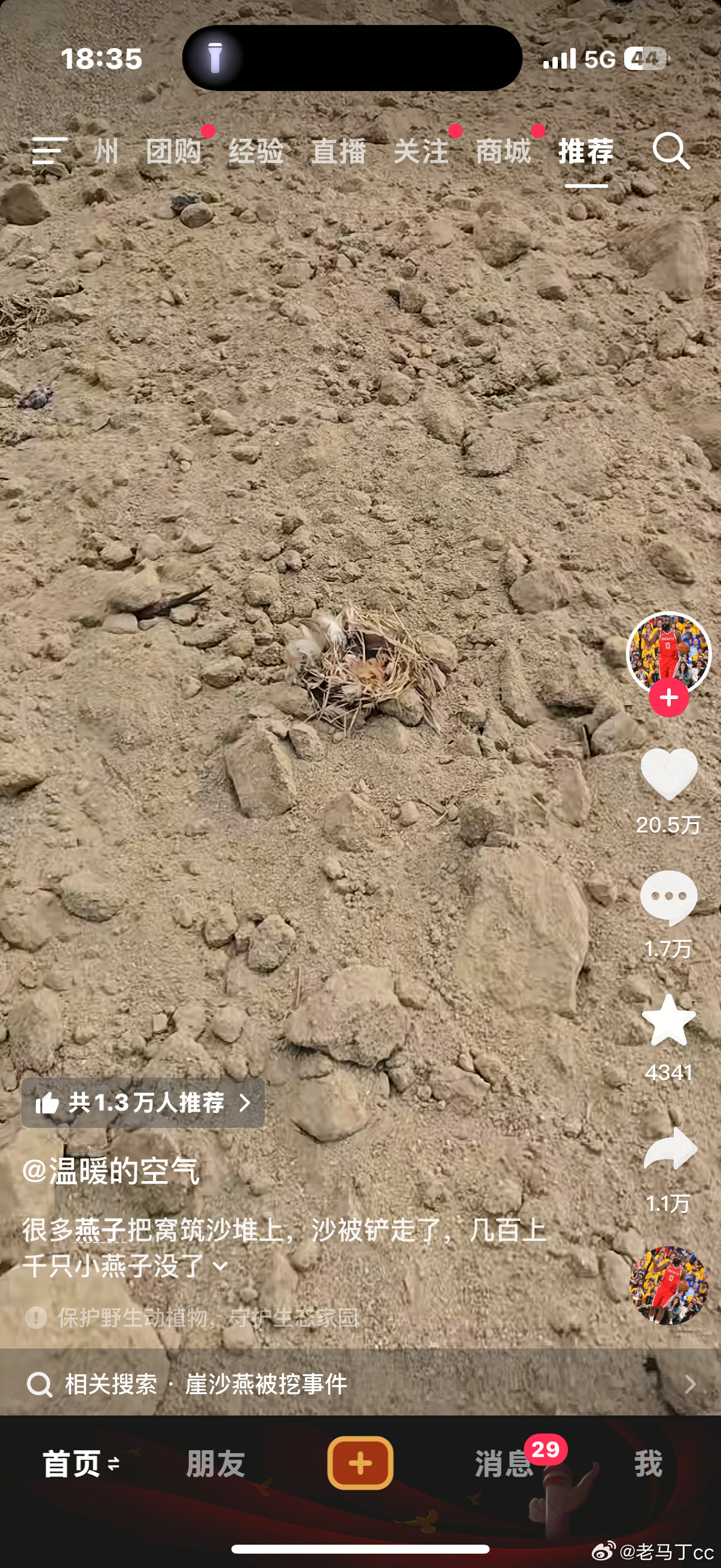 人类什么时候可以意识到地球是属于所有生物的不是你独有的…