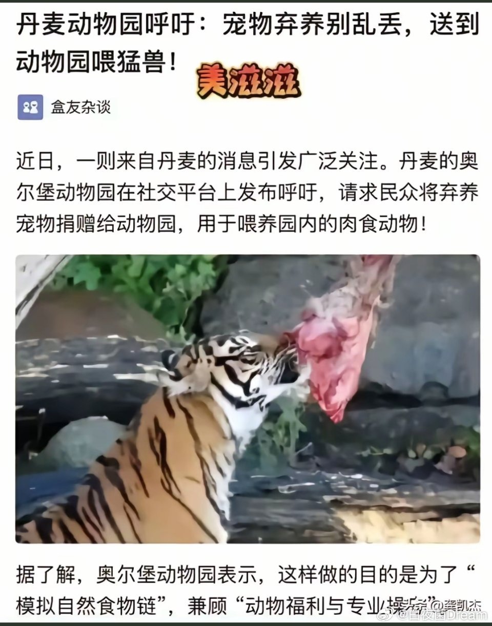 还是外国友人会解决流浪动物问题。​​​